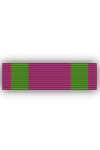 Silver Cross of Merit to the Saxe-Ernestine House Order