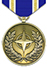 NATO artikel 5 Medal