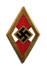 Goldenes Hitlerjugend Ehrenabzeichen