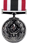 Medaille voor Speciale Dienst (SSM)