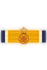 Medaille in de Orde van Oranje Nassau in Goud met zwaarden