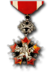 Tsjechoslovaakse Orde van de Witte Leeuw, 3e Klasse
