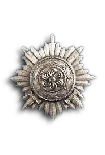 Ostvolk Medal 1st Class in Silver with Swords