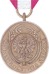 Long Service Medal 10 years