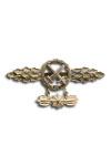 Combat clasp for fighter-bombers in gold with pendant